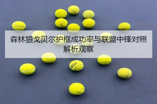 森林狼戈贝尔护框成功率与联盟中锋对照解析观察